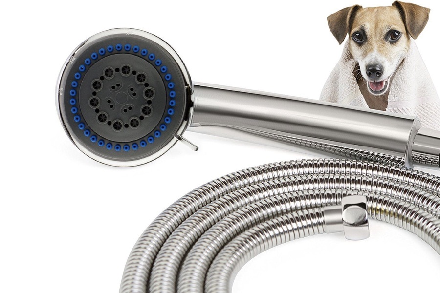 Top 5 Faucets for Pet-Friendly Homes in the UAE